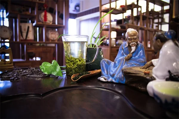 蜘蛛植物の土選び完全ガイド｜失敗しない選び方と配合レシピ