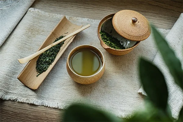 秋の葉物野菜の育て方：初心者でも失敗しないコツと管理法