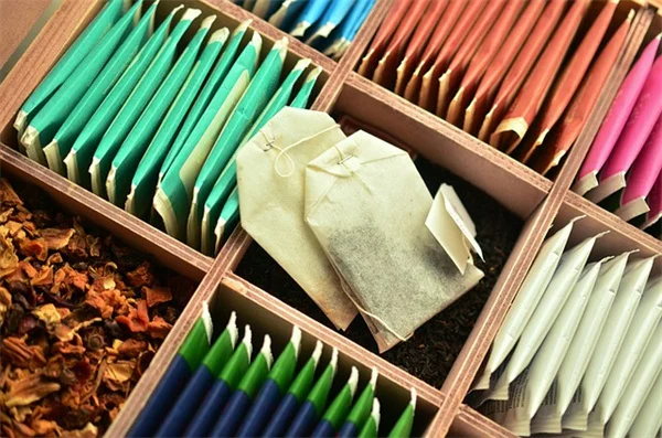 剪定シーラントはほぼ不要！あなたが知らない真実と正しい剪定方法