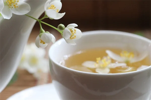 香草の活用法｜私の経験から学んだ5つのコツ